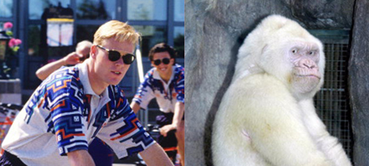 Ronald Copito de nieve Koeman